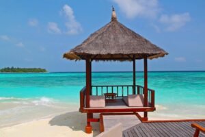 Lire la suite à propos de l’article Trip to Goa